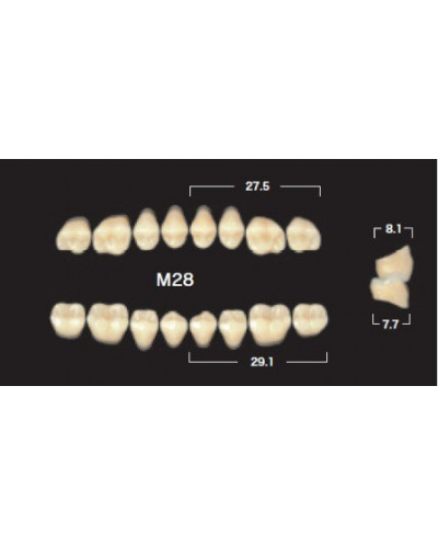 YM. NAPERCE POSTERIOR - AKRYLOWE ZĘBY...