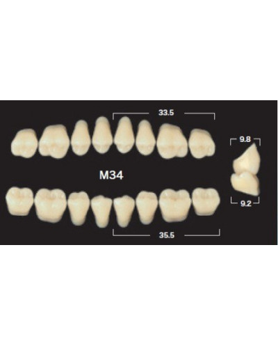 YM. NAPERCE POSTERIOR - AKRYLOWE ZĘBY...