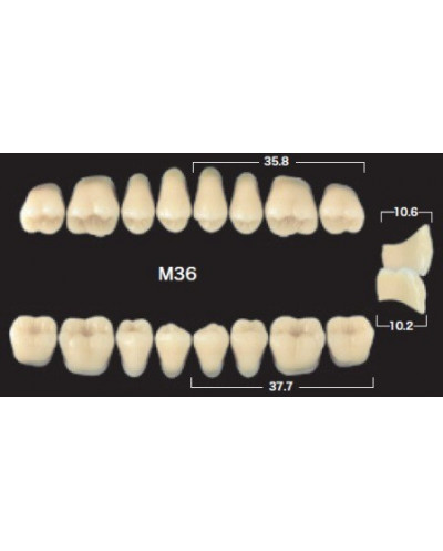 YM. NAPERCE POSTERIOR - AKRYLOWE ZĘBY...