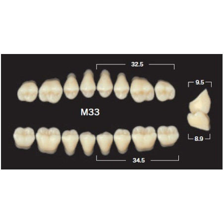 YM. NAPERCE POSTERIOR - AKRYLOWE ZĘBY...