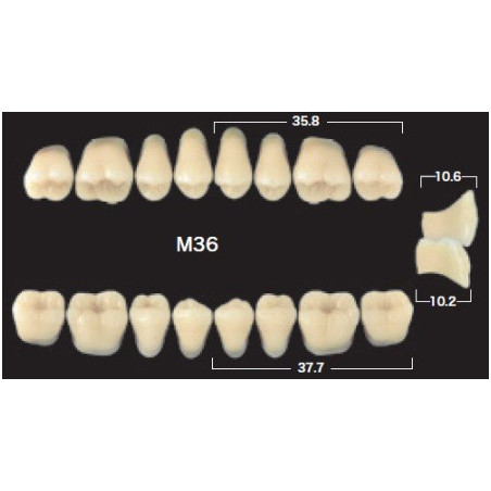 YM. NAPERCE POSTERIOR - AKRYLOWE ZĘBY...