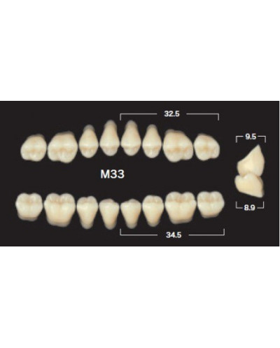 YM. NAPERCE POSTERIOR - AKRYLOWE ZĘBY...