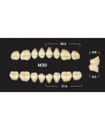 YM. NAPERCE POSTERIOR - AKRYLOWE ZĘBY...