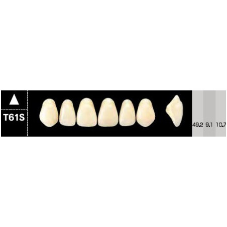 CROWN NS ANTERIOR AKRYLOWE ZĘBY SZTUC...