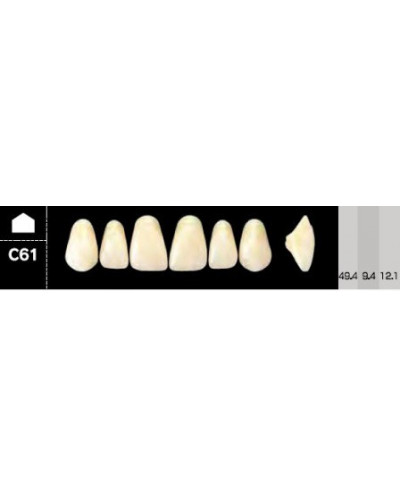 CROWN NS ANTERIOR AKRYLOWE ZĘBY SZTUC...