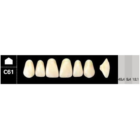 CROWN NS ANTERIOR AKRYLOWE ZĘBY SZTUC...