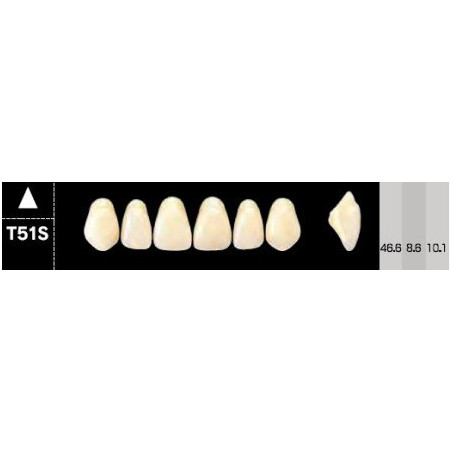 CROWN NS ANTERIOR AKRYLOWE ZĘBY SZTUC...