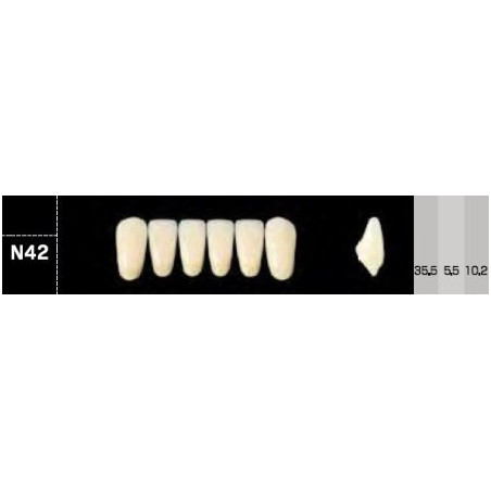 CROWN NS ANTERIOR AKRYLOWE ZĘBY SZTUC...
