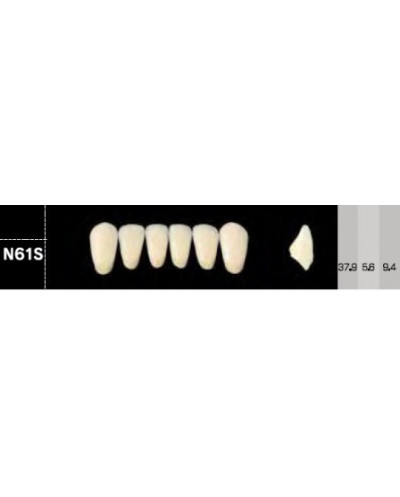 CROWN NS ANTERIOR AKRYLOWE ZĘBY SZTUC...