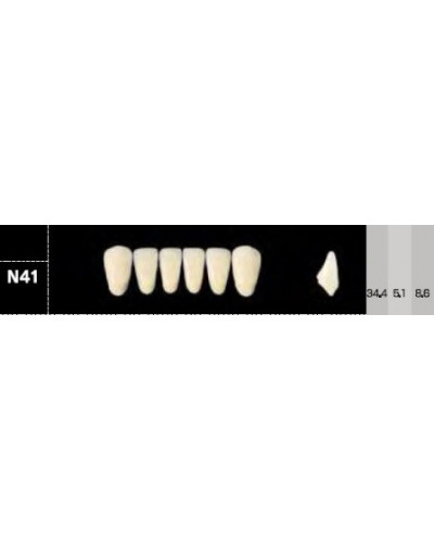CROWN NS ANTERIOR AKRYLOWE ZĘBY SZTUC...
