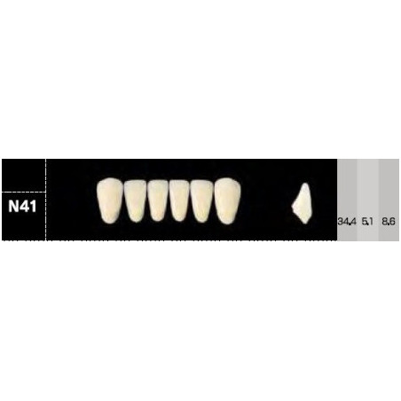 CROWN NS ANTERIOR AKRYLOWE ZĘBY SZTUC...