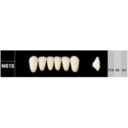 CROWN NS ANTERIOR AKRYLOWE ZĘBY SZTUC...