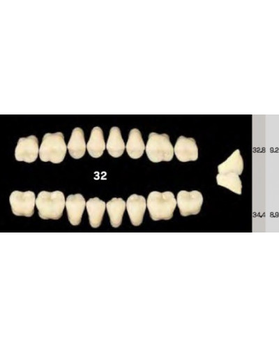 EFUCERA NS POSTERIOR AKRYLOWE ZĘBY SZ...