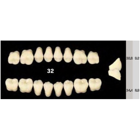 EFUCERA NS POSTERIOR AKRYLOWE ZĘBY SZ...