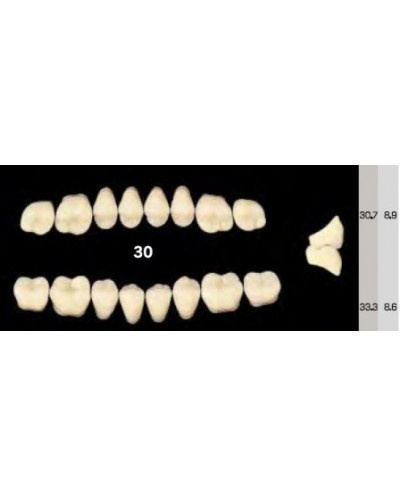 EFUCERA NS POSTERIOR AKRYLOWE ZĘBY SZ...