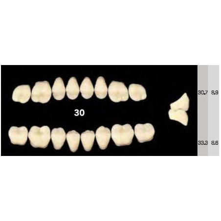 EFUCERA NS POSTERIOR AKRYLOWE ZĘBY SZ...