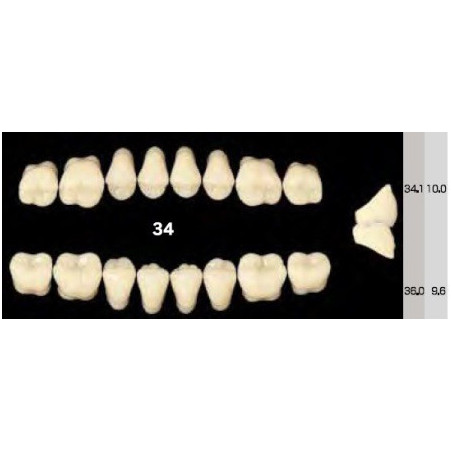 EFUCERA NS POSTERIOR AKRYLOWE ZĘBY SZ...