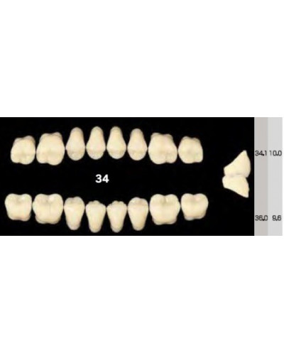 EFUCERA NS POSTERIOR AKRYLOWE ZĘBY SZ...