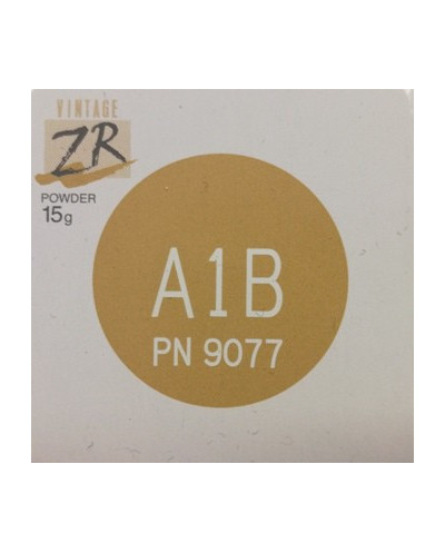 9077 VINTAGE ZR BODY 15G A1B WYRÓB ME...