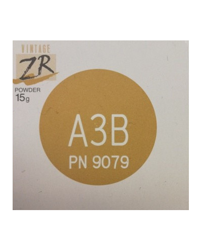 9079 VINTAGE ZR BODY 15G A3B WYRÓB ME...