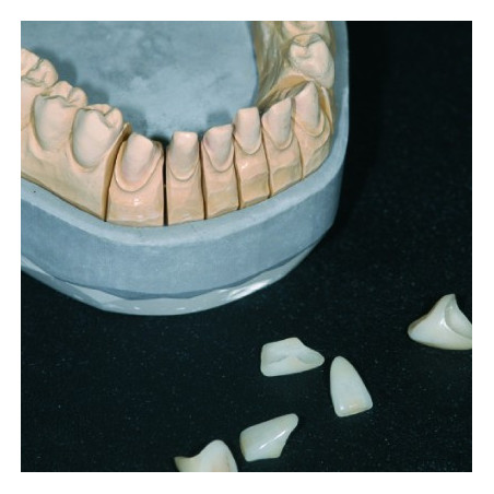 SML 5110 HOLDING GEL, 6 ML (PK/2)