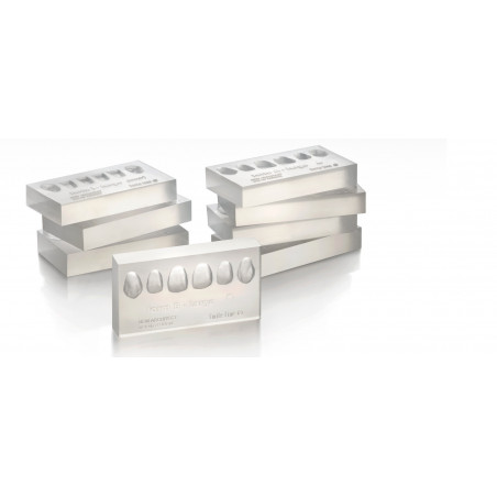 SML 2111 NEW ARCHITECT, SET DE 8 ANTE...