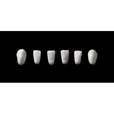 SML 2111 NEW ARCHITECT, SET DE 8 ANTE...