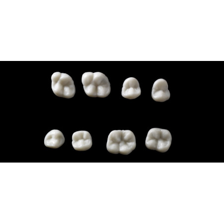 SML 2121 NEW ARCHITECT, SET OF 4 POST...