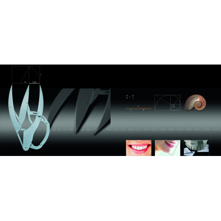 SML 6010 GOLDEN SECTION DIVIDER & GRI...