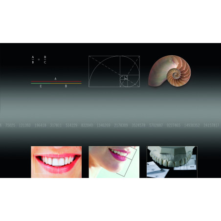 SML 6010 GOLDEN SECTION DIVIDER & GRI...