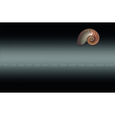 SML 6010 GOLDEN SECTION DIVIDER & GRI...