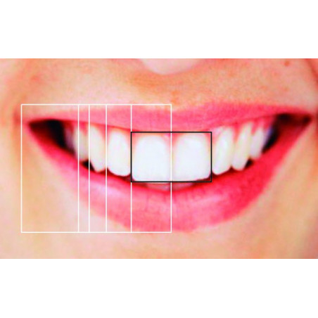 SML 6010 GOLDEN SECTION DIVIDER & GRI...