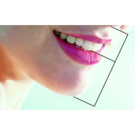 SML 6010 GOLDEN SECTION DIVIDER & GRI...