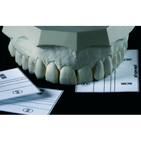 SML 6010 GOLDEN SECTION DIVIDER & GRI...