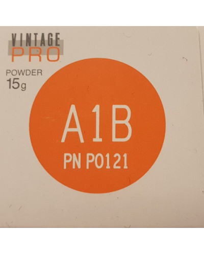 P0121 VINTAGE PRO A1B 15G