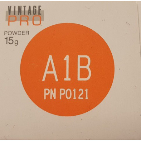 P0121 VINTAGE PRO A1B 15G
