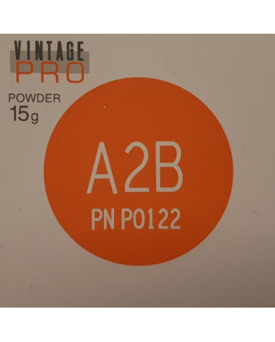 P0122 VINTAGE PRO A2B 15G