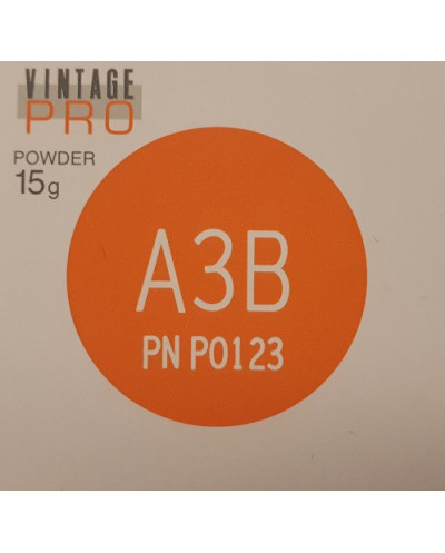 P0123 VINTAGE PRO A3B 15G
