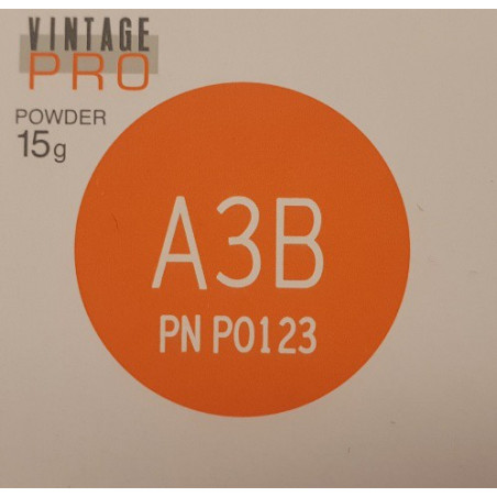 P0123 VINTAGE PRO A3B 15G