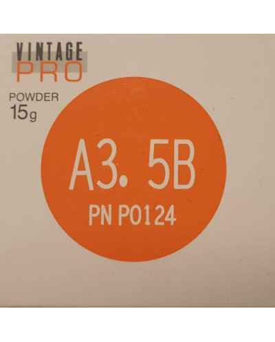 P0124 VINTAGE PRO A3,5B 15G