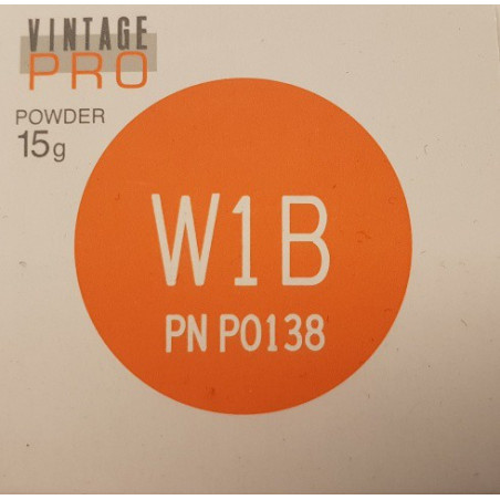 P0138 VINTAGE PRO W1B 15G