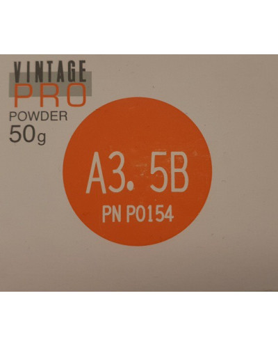 P0154 VINTAGE PRO BODY A3,5B 50G