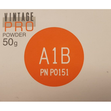 P0151 VINTAGE BODY A1B 50G