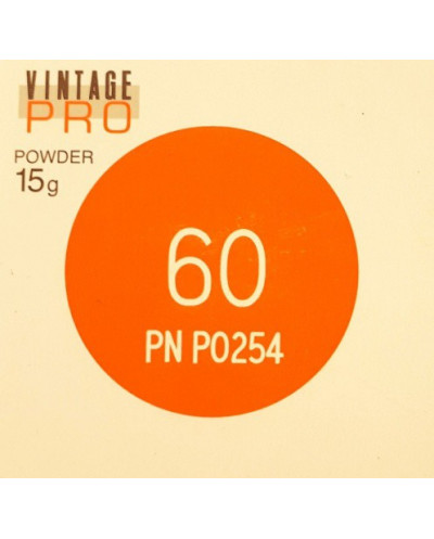 P0254 VINTAGE PRO INCISAL 15G 60
