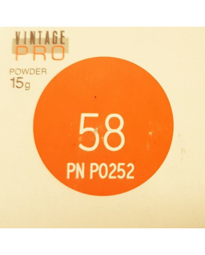 P0252 VINTAGE PRO INCISAL 15G 58