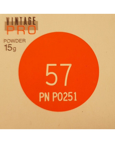 P0251 VINTAGE PRO INCISAL 15G 57