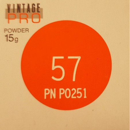 P0251 VINTAGE PRO INCISAL 15G 57