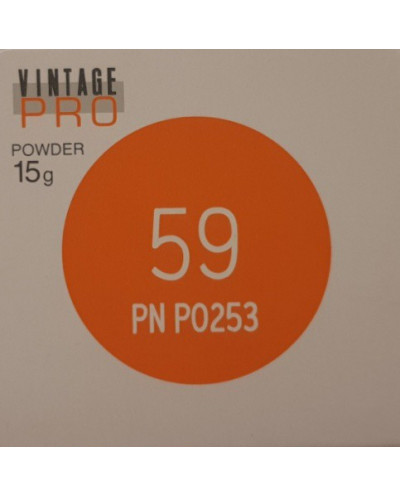 P0253 VINTAGE PRO INCISAL 15G 59