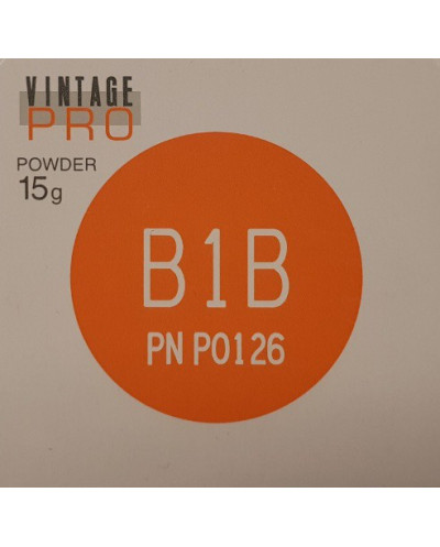 P0126 VINTAGE PRO B1B 15G