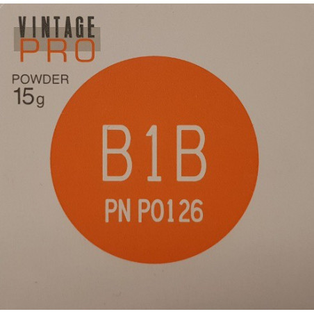 P0126 VINTAGE PRO B1B 15G